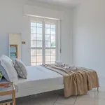 Ferrante - Yourplace Abruzzo Fossacesia